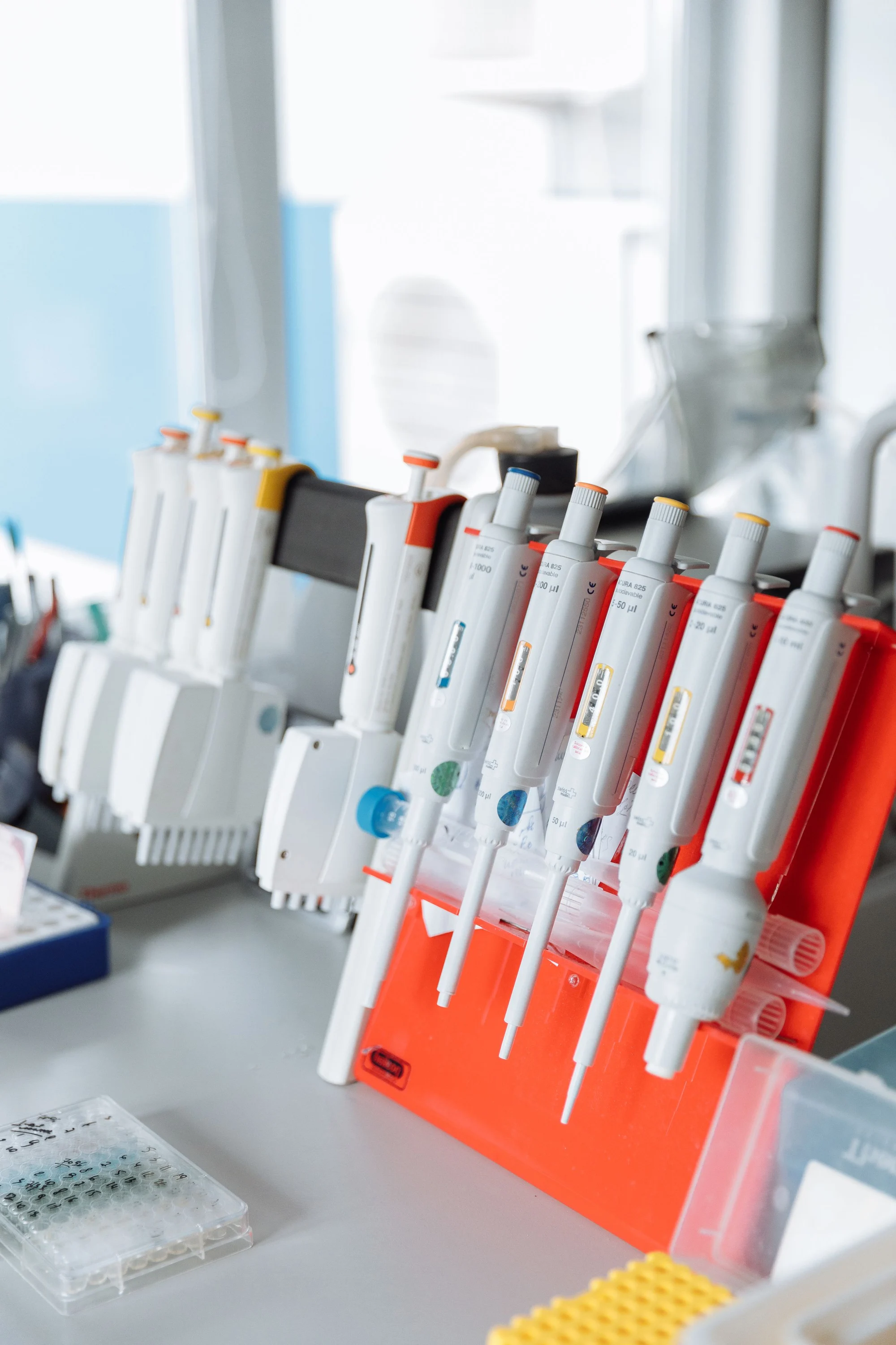 Precision pipettes and sample plates arranged on a laboratory bench